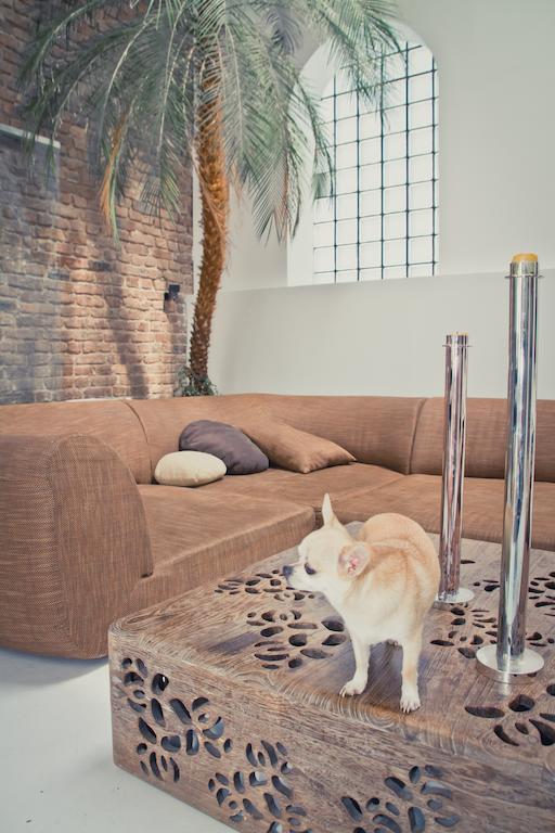 Gallery Loft Cologne