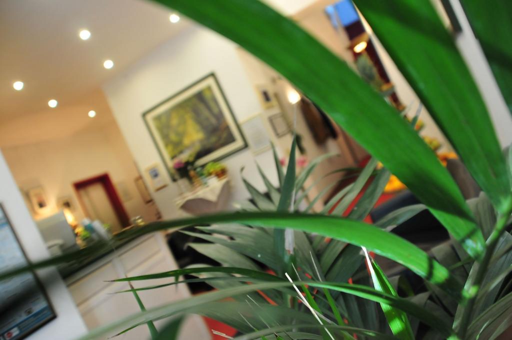 Hotel Cerano Am Dom Kolonia