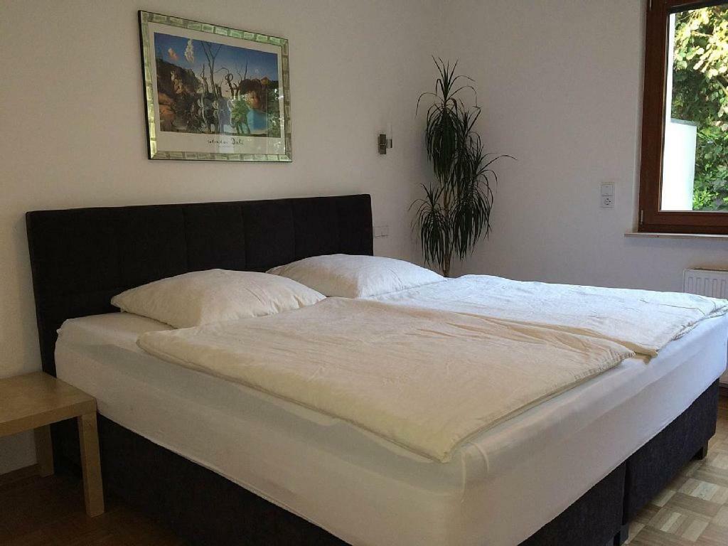 Komfortwohnung Mit Garten In Ruhiger Lage In Dellbruck Appartement Keulen