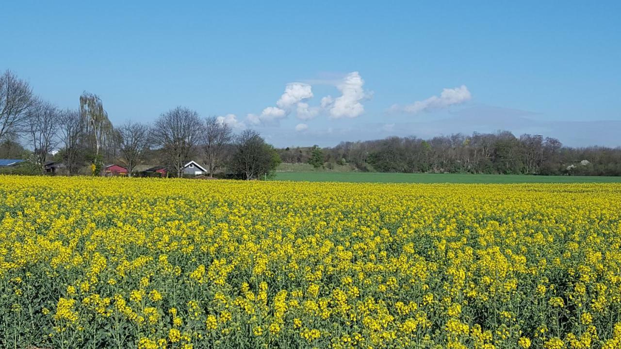 Gastezimmer Zum Neuenhof Cologne