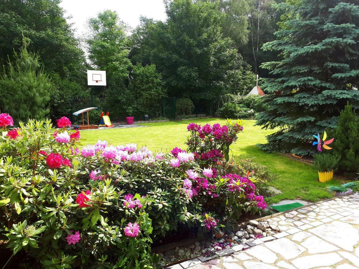 Pensión Villa-seerose