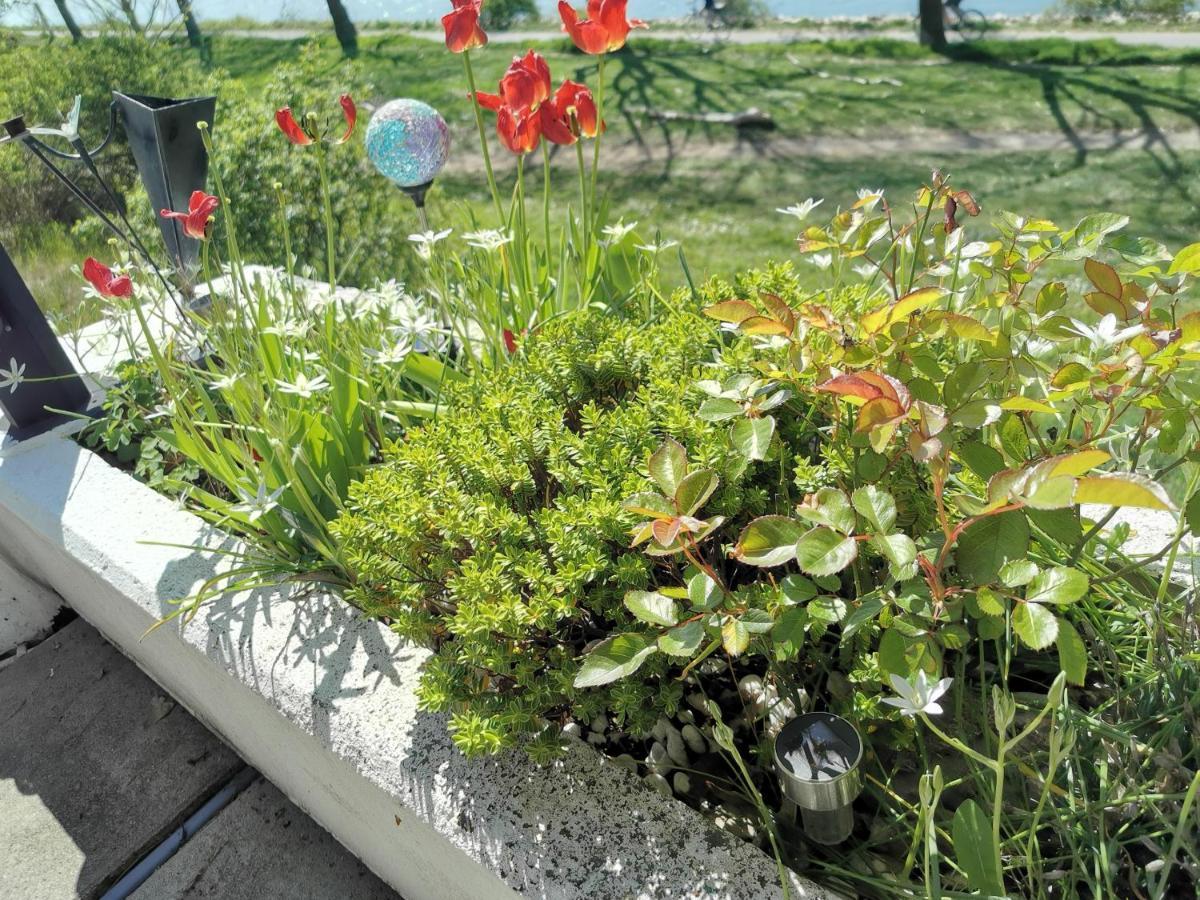 Hébergement de vacances Haus Am Rhein *