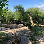 Idyllische Ferienwohnung Mit Rheinblick