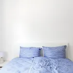 Grosse Gemuetliche Wohnung Mit Waldblick