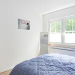 Grosse Gemuetliche Wohnung Mit Waldblick