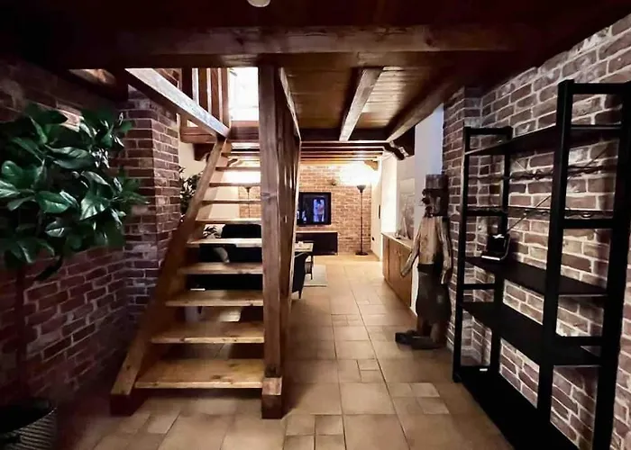 Oldtown Guesthouse Cologne I 100Qm I 10M From Rhine