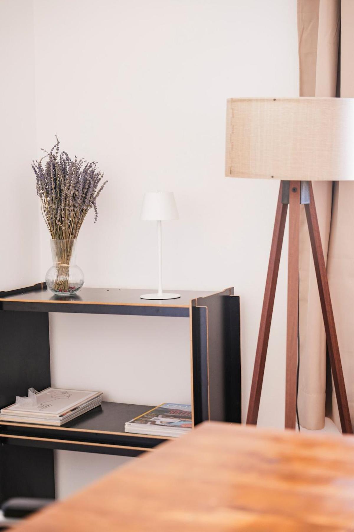 Beautiful Modern & Colónia