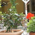 Aida Apartament