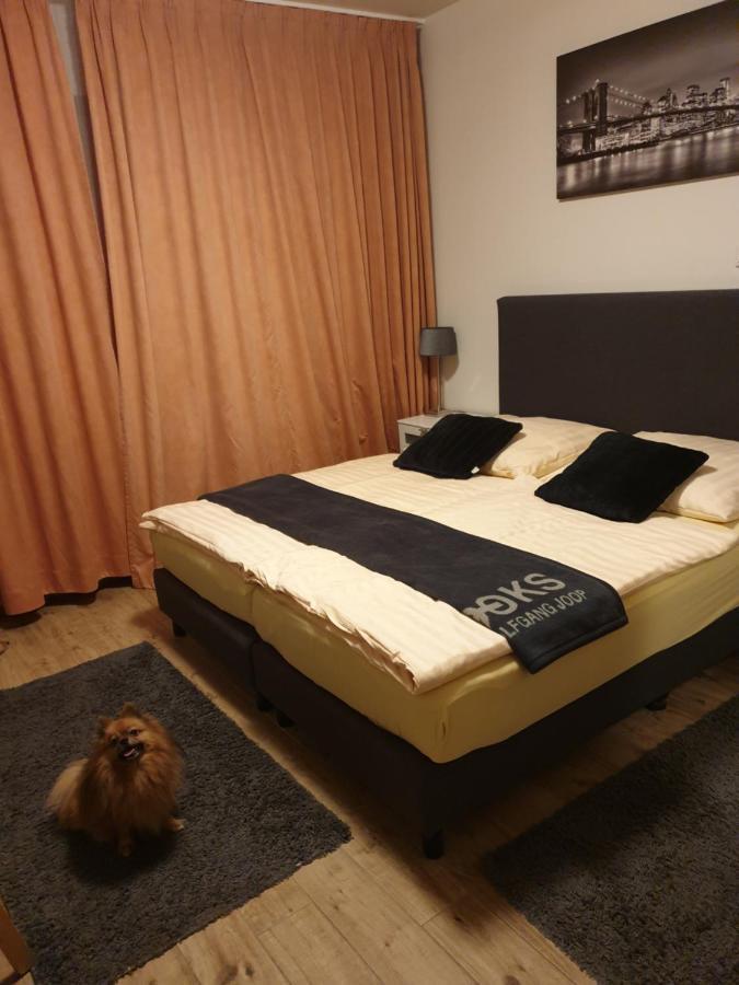 Eigelstein Cologne
