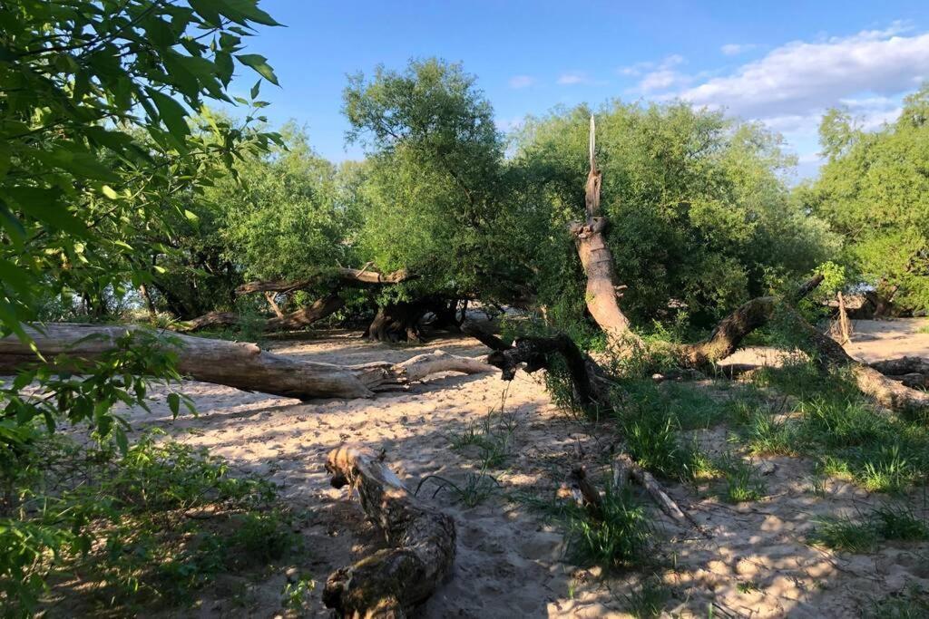 Idyllische Ferienwohnung Mit Rheinblick *