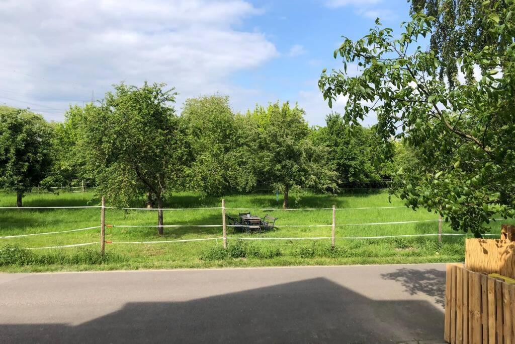 Idyllische Ferienwohnung Mit Rheinblick Apartment *