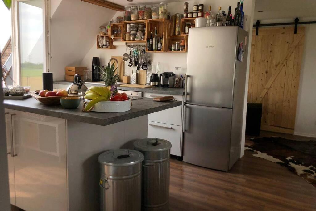 Idyllische Ferienwohnung Mit Rheinblick Apartment
