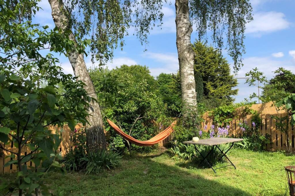 Idyllische Ferienwohnung Mit Rheinblick Apartment *