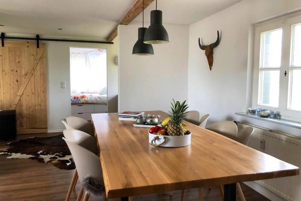 Idyllische Ferienwohnung Mit Rheinblick Apartment