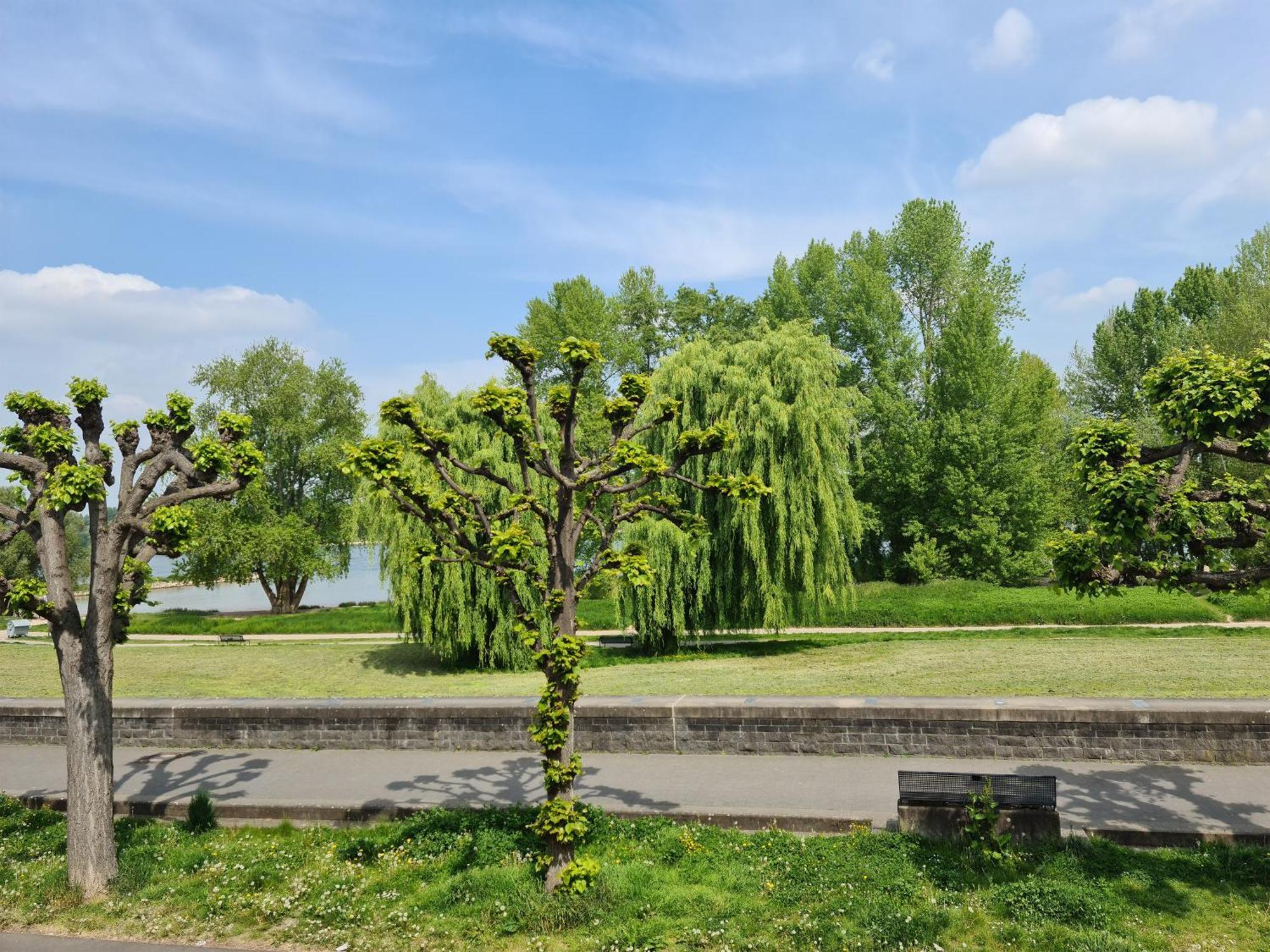 Rheinblick 4*