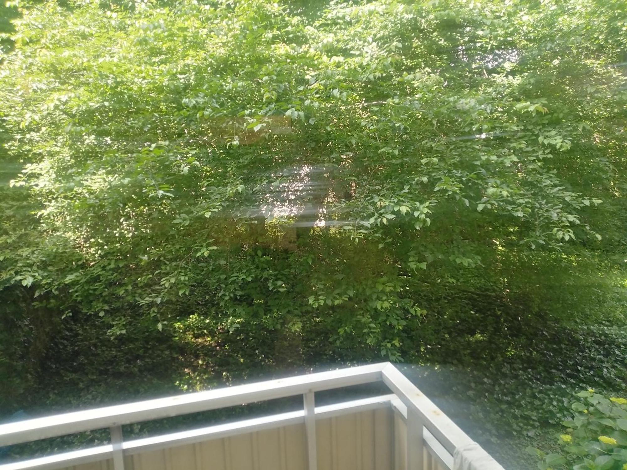 Top 200 Meter Zum Rheinauhafen Homestay *