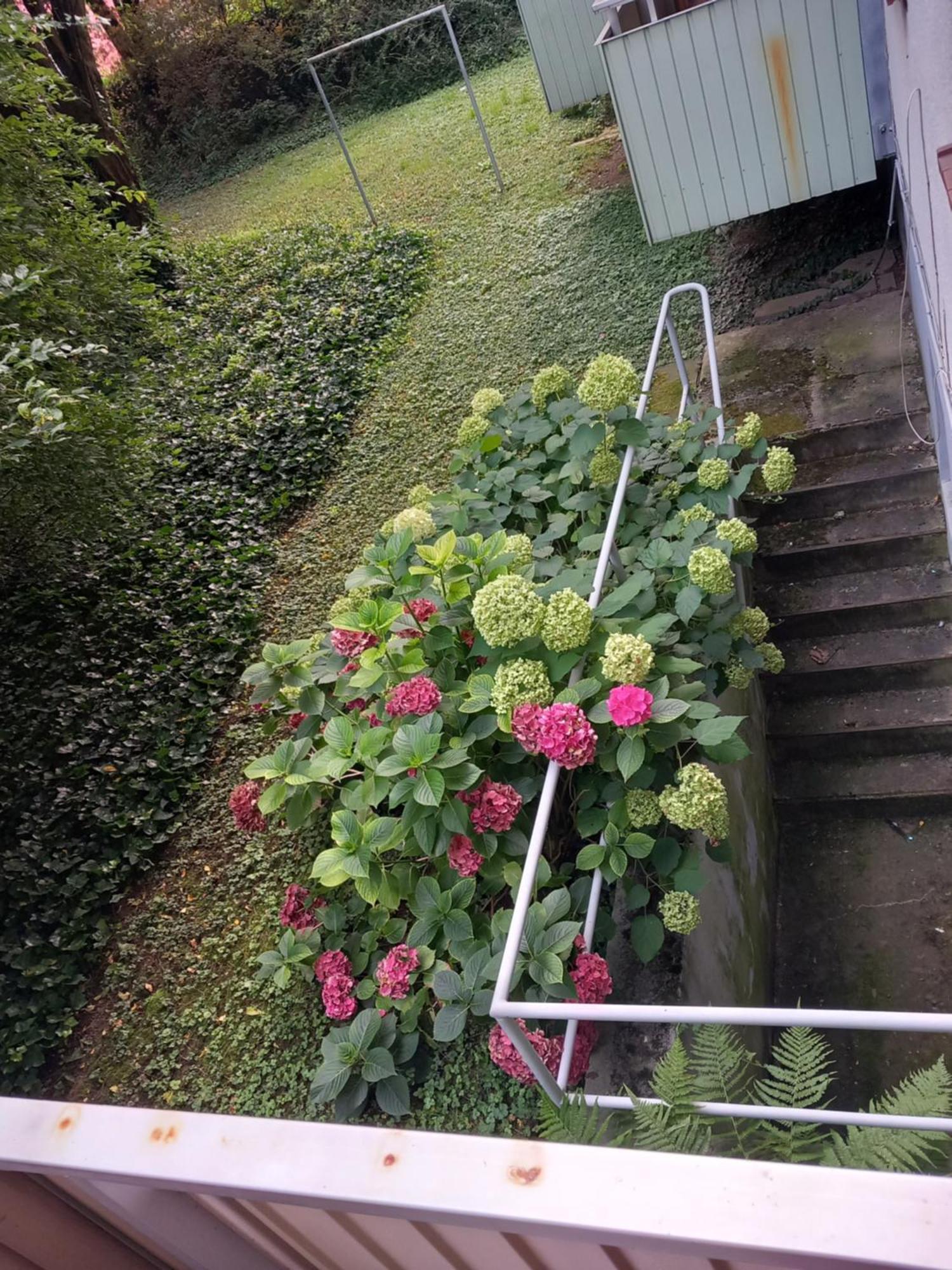 Top 200 Meter Zum Rheinauhafen Homestay