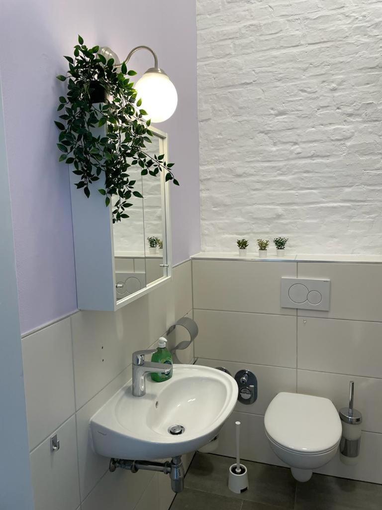 Cityperle - Ruhiges Komfort Apartment Naehe Dom - Apartment