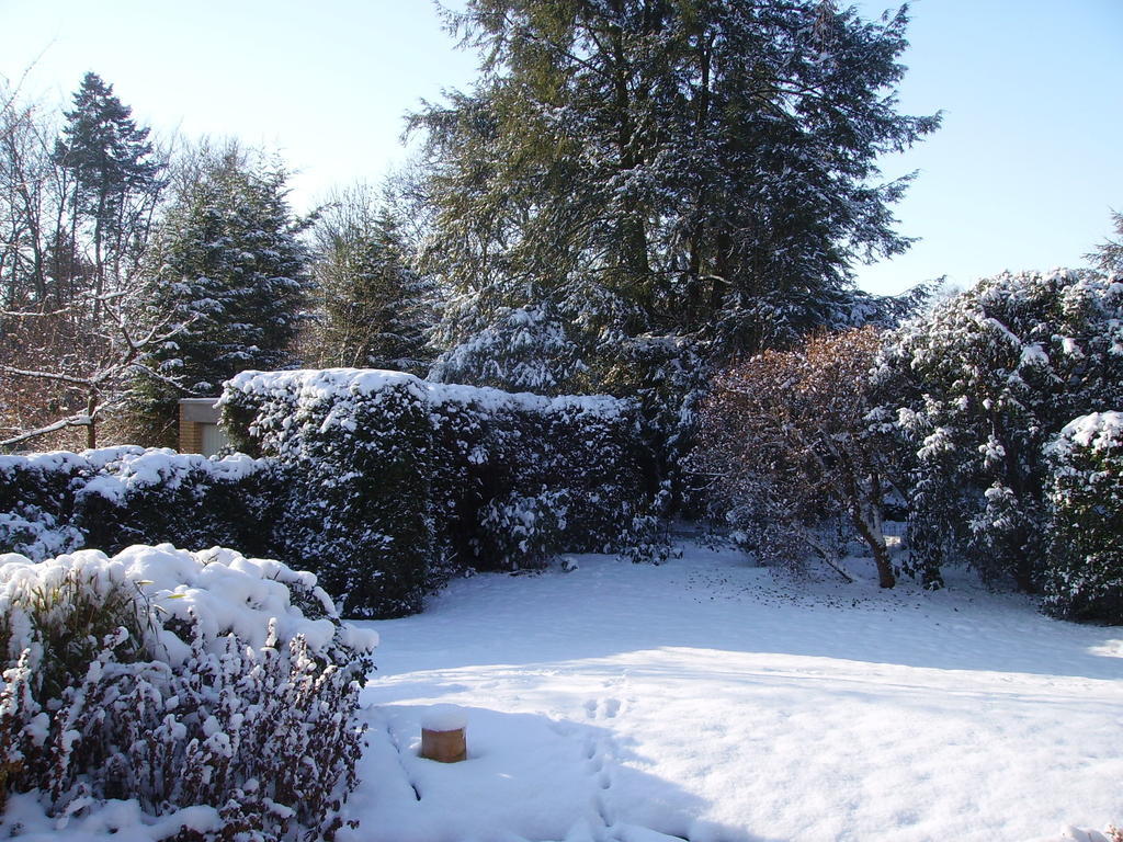 Guest house Donar Cologne