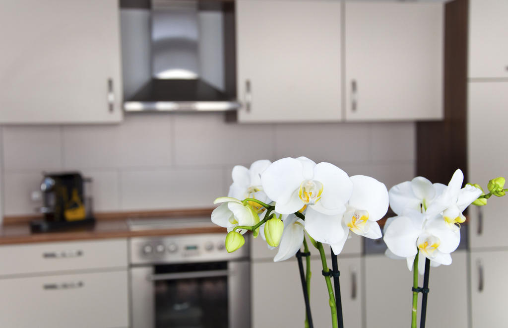 Apartment Domapartment City Altstadt Cologne