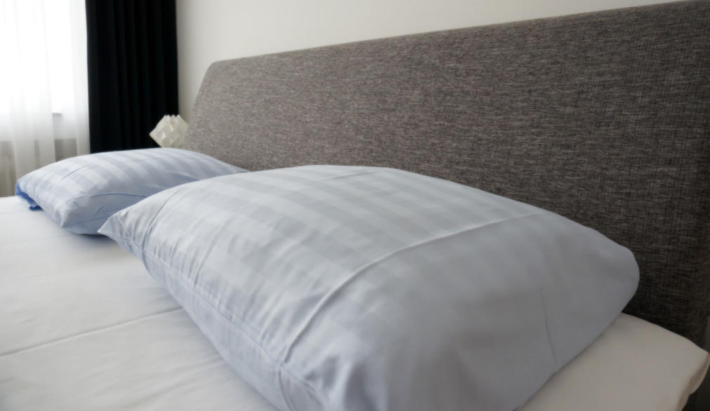 Domapartment City Altstadt