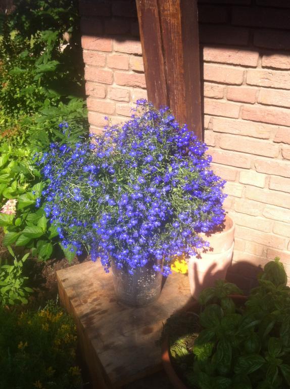 Ferienhaus Rent A Gereonswall