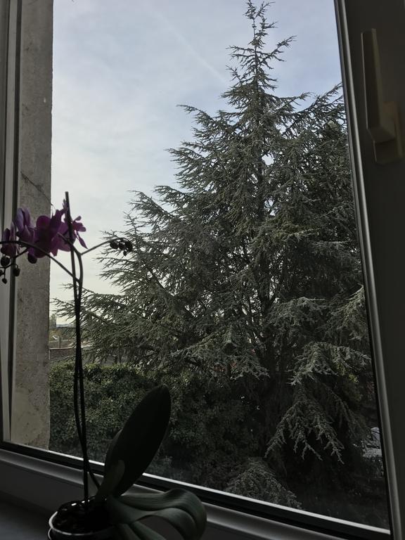 Rohan's Appartement Cologne